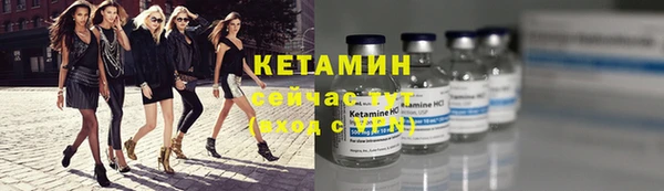 индика Беломорск