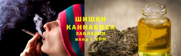 индика Беломорск