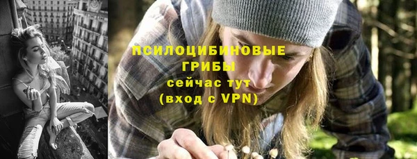 прущий лед Богданович