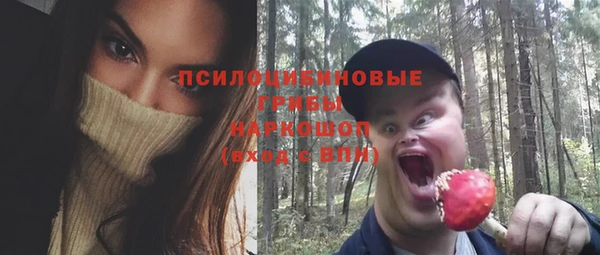 прущий лед Богданович