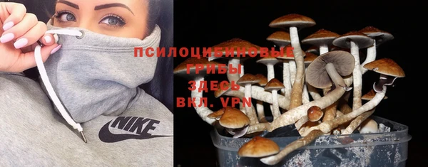 прущий лед Богданович